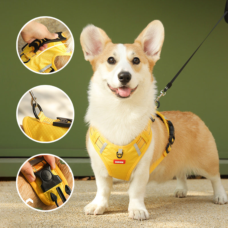 🔥49% OFF🐕Reflective No-Pull Adjustable Dog Vest Harness-6